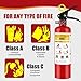 ABC Dry Powder Fire Extinguisher, 1-A:10-B:C Rated, Dry Chemical Fire Extinguisher for Home, Kitchen, Office & Vehicle, Fire Extinguisher with Easy-Grip Handle & Quick Release (1 Pack)