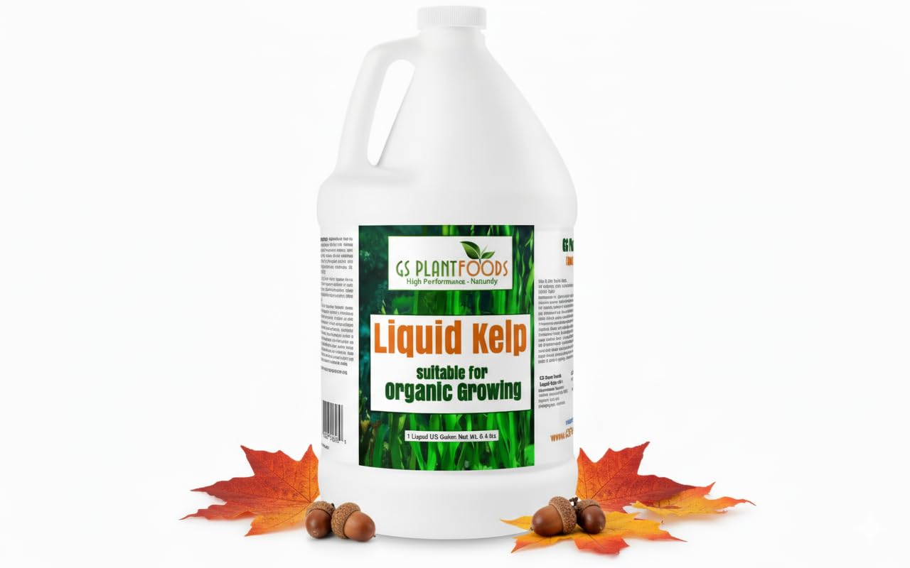 Organic Kelp Fertilizer by GS Plant Foods - Omri Listed(1 Gallon) - Liquid Kelp Seaweed Concentrate for Gardens, Lawns & Soil
