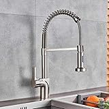 REPLYSAT Brushed Nickel Kitchen Faucet Pull Down Spout Kitchen Sink Faucet Single Handle Bathroom Kitchen Vanity Sink Tap Hot Cold Water Tap