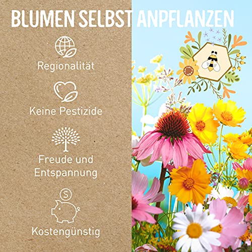 valeaf BIO Wilde Blumen Samen Set I 10 Sorten bienenfreundliche Blumensamen I Premium BIO Samen Blumen I Wildblumen… – Bild 5