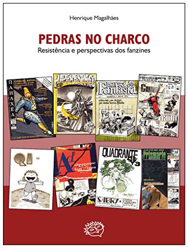 Pedras no charco: resistência e perspectivas dos fanzines