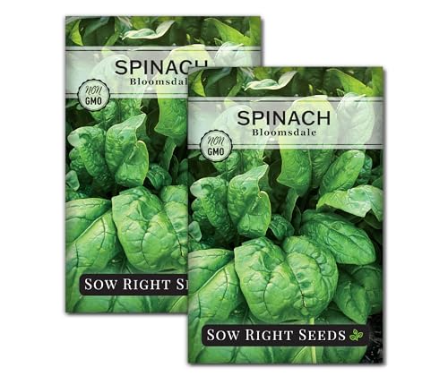 Sow Right Seeds - Bloomsdale Spinach Seed for Planting Vegetable Garden 2pk
