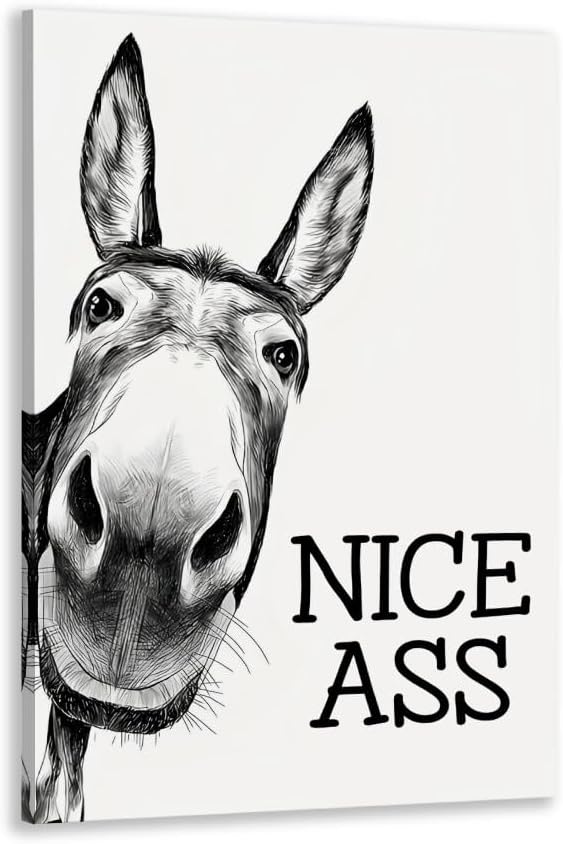 Black and White Bathroom Wall Art Decor Nice Ass,Donkey in Bathroom Canvas Posters,Interest Animals Wall Decor Vintage Farmhouse Home Humor Print Paint 16x24inch Framed