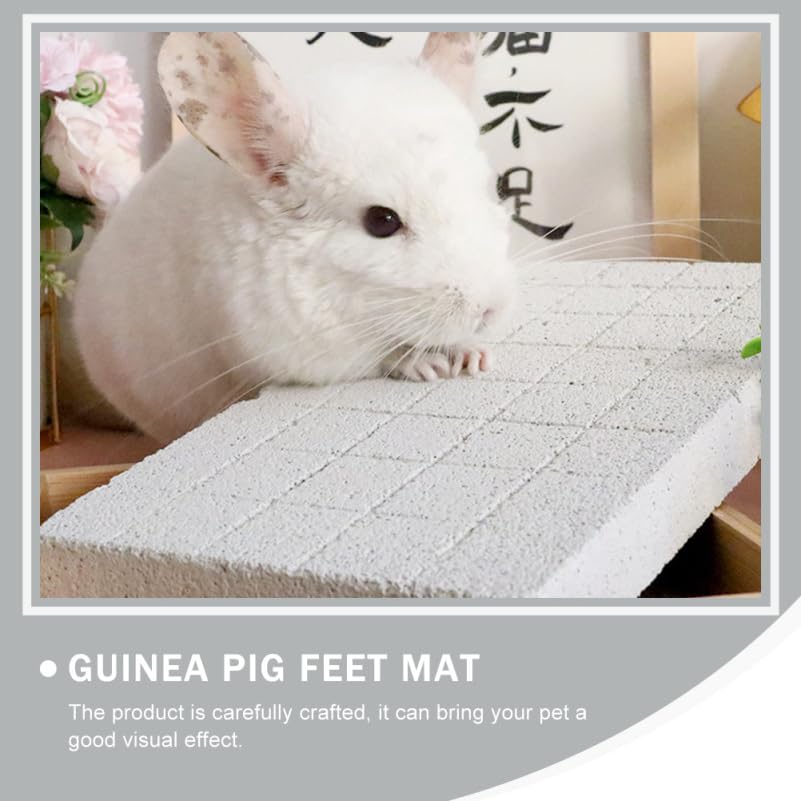 YARNOW Scratching Stone for Cats Rabbits, Chinchillas, Squirrels and Guinea Pigs, 24 x 15 x 2.5 cm, Light Grey, 24X15X2.5CM - Image 3