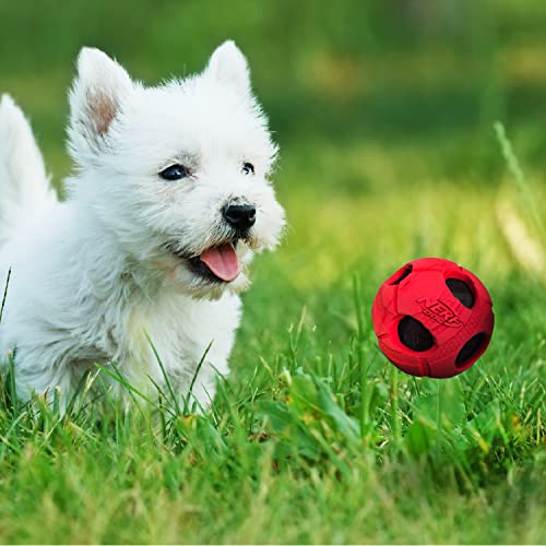 Nerf Dog Bash Brinquedo para cães com bola de tênis, leve, durável e resistente à água, 5 cm, para r