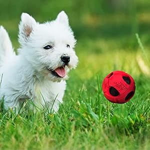 Nerf Dog Bash Rubber Wrapped Tennis Ball Dog Toy, Lightweight, Durable and Water Resistant, 2 Inches, for Small/Medium Breeds, Single Unit, Red Nerf Dog Bash Rubber Wrapped Tennis Ball Dog Toy Lightweight Durable and Water Resistant 2 Inches for SmallMedium Breeds Single Unit Red