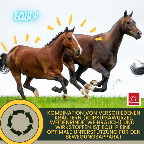 MSM Pferd Equi P Gelenk Booster 30ml – hochdosiert mit Glucosamin Chondroitin MSM Schwefel Vitamin C Bierhefe Kurkuma Spirulina Weidenrinde Weihrauch – Gelenke Sehnen Bewegungsapparat Pferde