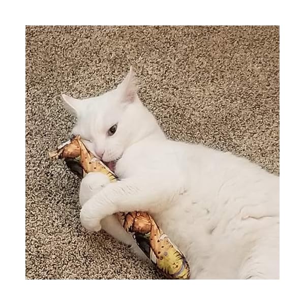 Kitty kick stix 11" catnip kicker toys - set of 2 cat kickers, the original made in usa - image 4