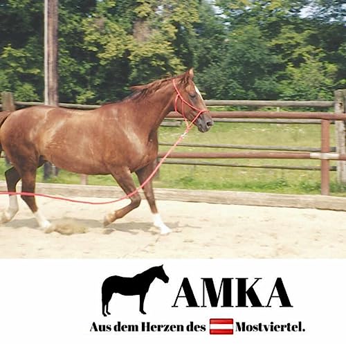 AMKA Bogenpeitsche Fahrpeitsche 100 cm für Horsemanship Bodenarbeit Fahrsport Diverse Farben gummierter Spezialgriff