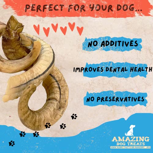 Amazing Dog Treats - Lamb Horn (5 Count) Lamb Horn Antler Dog Chews - Horn Bones for Dogs - Long Lasting Horn Dog Chews