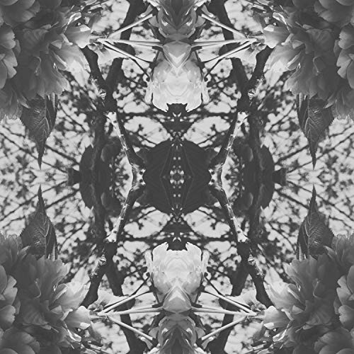 What You're Missing [Explicit]