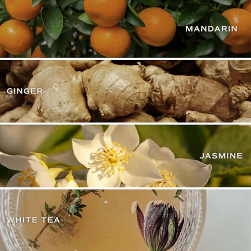 Image of Sweet Water Decor Calm and Comfort Reed Diffuser Set | Mandarin, Ginger, Jasmine, White Tea Spa Scented Diffusers | Air Freshener | Housewarming Gift | Aromatic Stress Relief
