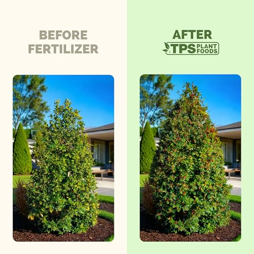 Holly Fertilizer alimento líquido para plantas 32 oz miniatura 3