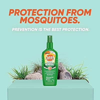 OFF! Deep Woods Off! Insect Repellent Pump 6 oz (Pack of 2)