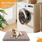 PET SPPTIES Hundebett Weiches und Warmes Matten Hundekissen Waschbarn kuschelig Umkehrbar Haustier Sofakissen PS085 (61X41 cm, Khaki)