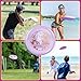 Wham-O Frisbee Flying Disc 160g, 10.5 Inch Ultimate Training Sports Disc, Durable and Flexible, for Outdoor Beach Backyard Family Fun