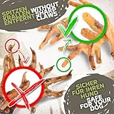 Hühnerfüße für Hunde 1 kg (ca. 45–55 Stück) | Luftgetrockneter Premium Kausnack | 100% Huhn | Zahnpflege & Gelenkunterstützung | getreidefrei & hypoallergen