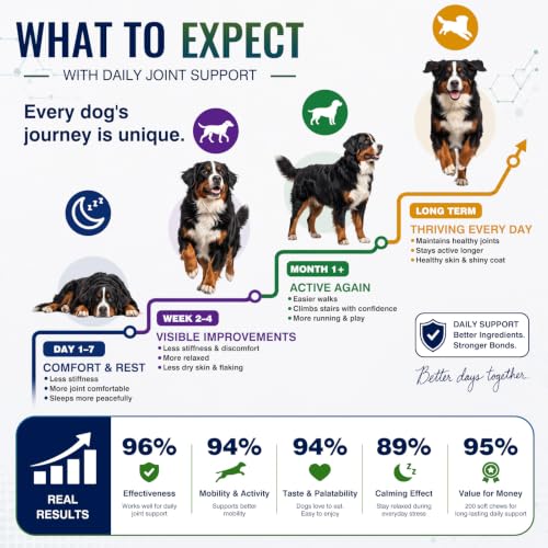 Hip and Joint Supplement for Dogs 200ct, Calming & Skin Support All dogs - Image 4