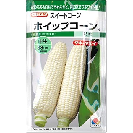 Amazon トウモロコシ 種子 スイートコーン ホイップコーン 45粒 極良質強甘味種 野菜