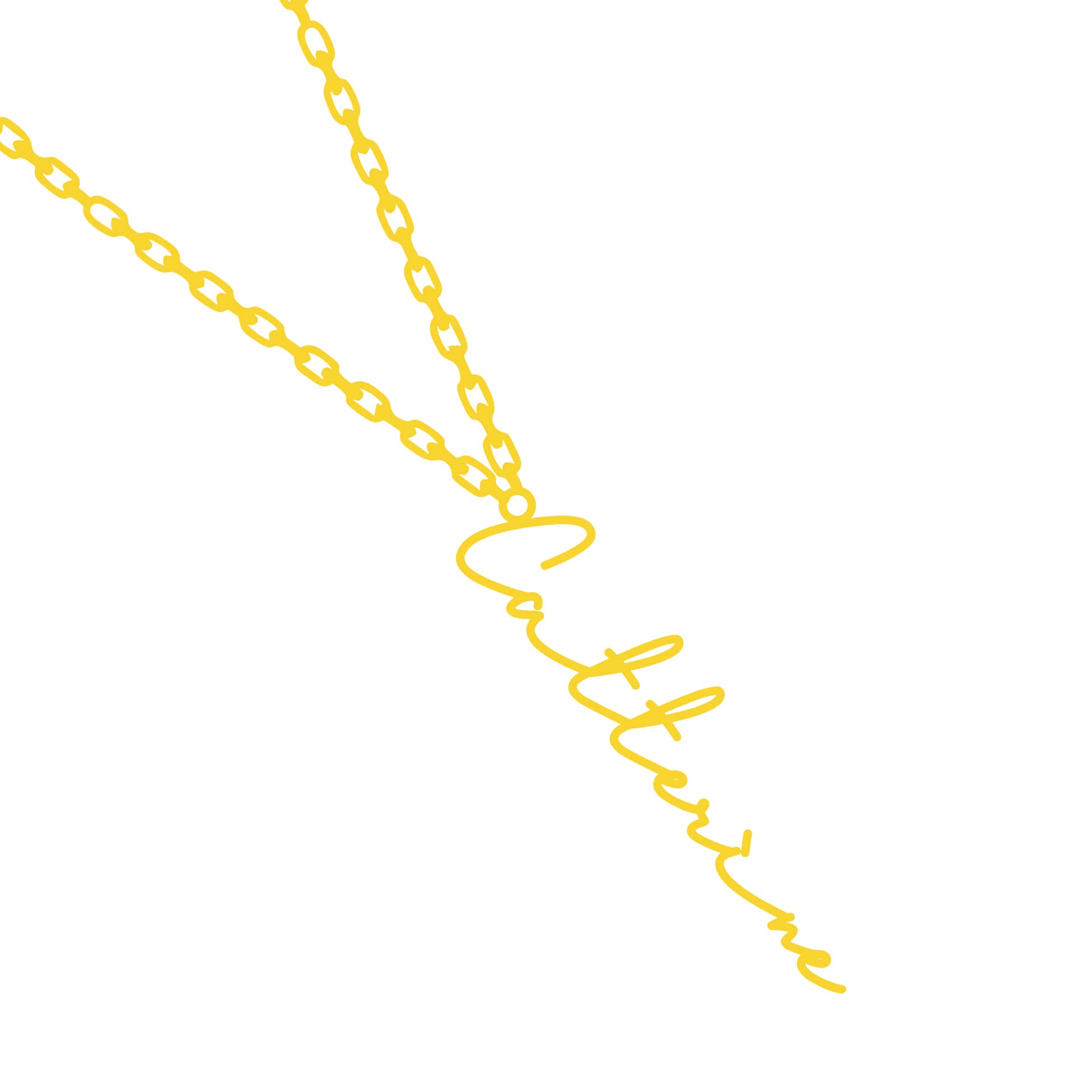 Seasons Kreation Signature Personalized Vertical Name Necklace Gold plated name pendant Customized Jewelry Gifts for Women Girls with Chain Set of 1 (B0B4BJ31LY) Amazon Price History, Amazon Price Tracker