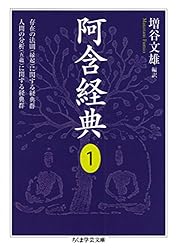 ●宋版 阿含経 一紙 /仏教/古版経/唐本 ●宋版 阿含経 一紙 /仏教/古版経/唐本