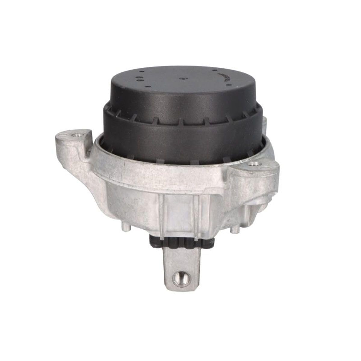 Amazon.com: Corteco 80005186 Motor Support : Automotive