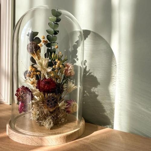 APACALI 1 Stück Glasglocke mit Holzboden, 30cm Dekorative Glashaube, Transparent Glasglocke, Glashaube Glasbox Glas, Glass Dome Cloche mit Boden für Lichter, Deko, Wohnaccessoire