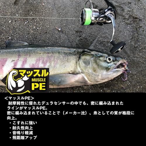 デュラセンサーX8+Si2 0.8号