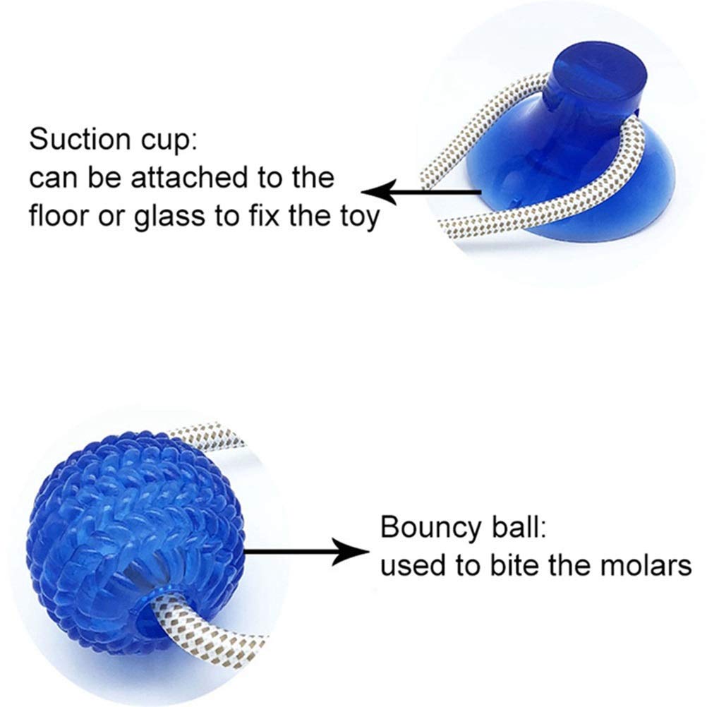 MU Dog Interactive Ventosa Push Ball Giocattoli Giocattoli Elastico Corde Elastico Dente Dente Pulizia da Masticare Giocando Iq Tratta i Giocattoli Pet Cucciolo Forniture,Verde