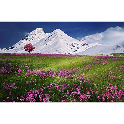 Poster paysage pré fleuri pour décorer un grand salon lumineux