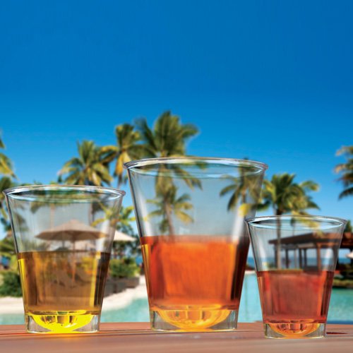 Lillian Tablesettings Clear Plastic Double Shot Glasses-5 Oz, 10 Pcs #TOP4