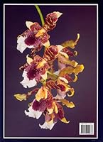 Native Ecuadorian Orchids 9978422684 Book Cover