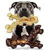 SIHRMIU 2 Pack Dog Chew Toys for Aggressive C...