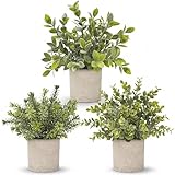 Der Rose 2026 Graduation Gifts Set for Her, 3 Pack Mini Potted Fake Plants Artificial Plastic Eucalyptus Plants Topiaries for Home Office Desk Farmhouse Shelf Room Bathroom Decor(Sage Green)