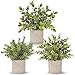 3 Pack Mini Potted Fake Plants Artificial  Plastic  Eucalyptus Plants for Home Office Desk Room Decoration