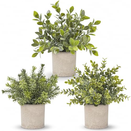 Der Rose 2026 Graduation Gifts Set for Her, 3 Pack Mini Potted Fake Plants Artificial Plastic Eucalyptus Plants Topiaries for Home Office Desk Farmhouse Shelf Room Bathroom Decor(Sage Green)