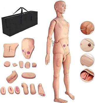 PVC Patient Care Manikin Full Body 170cm Male and Female Training Manikin Model for Nursing Medical Training Education Model
