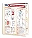 Multicellular Biology Guide - Laminated Biology Quick Reference Guide by Permacharts