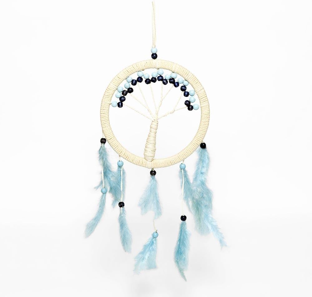 homes r us هومز أر أسHainy D eamcatche , Multicolou