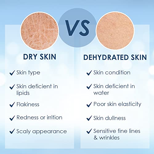 Cetaphil Optimal Hydration Daily Cream 50g | Lightweight Moisturizer & Fast Absorption | Hyaluronic Acid, Blue Daisy Extract, Niacinamide - Image 6