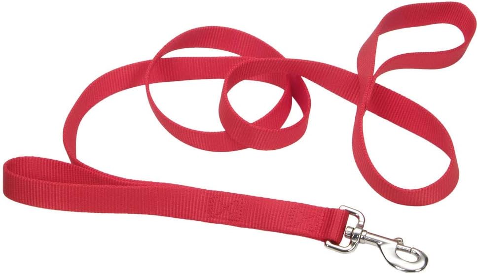 Coastal Loops 2 Double Handle Dog Leash, Red, 1" x 06