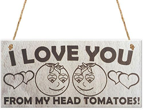 Red Ocean I Love You From My Head To My Toes Tomatoes Novelty Love Partner Husband Wife Boyfriend Girlfriend Wooden Hanging Plaque Gift Sign