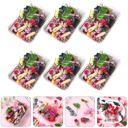 Flores secas para manualidades 6 cajas set miniatura 6