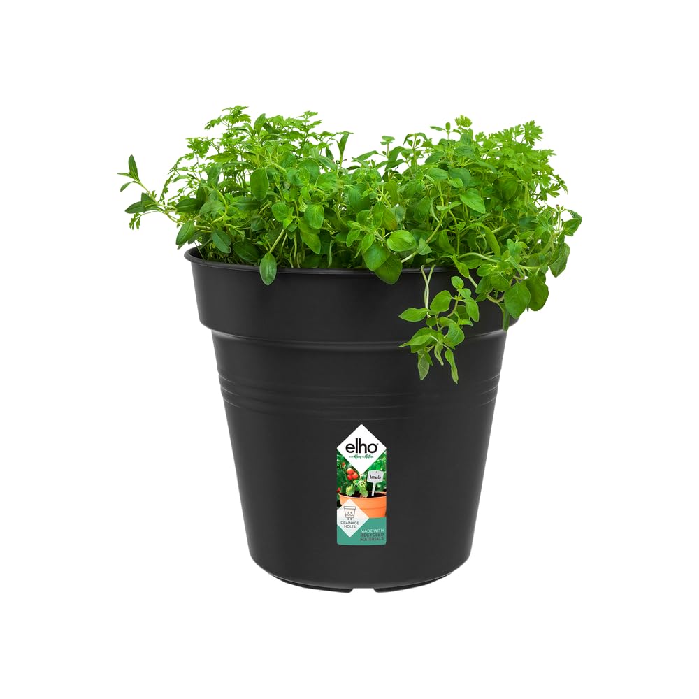 Elho Green Basics Pot De Culture 24 - Growpot pour Intérieur, Extérieur, Culture & Récolte - Ø 24.0 x H 22.1 cm - Noir/Living Noir - 4