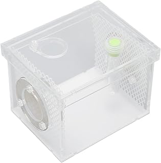 Caixa de Alimentação de Répteis, Tanque Acrílico para Insetos de Répteis Multiuso Durável para Louva-a-deus para Pequenos Répteis para Tarântula (Tamanho pequeno)