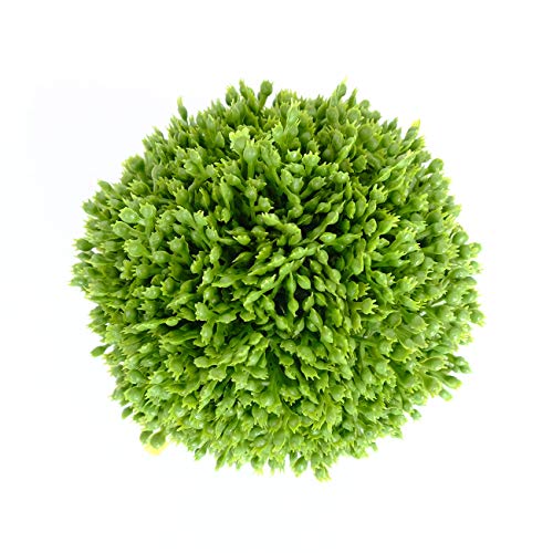Cir Oases 3.5 Inch Decorative Balls Artificial Green Plant Decorative Balls, Bowl Filler Greenery Balls,Set Of 3 … #TOP4