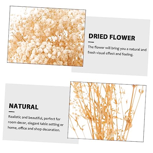 Ramo de flor seca para decoración de hogar beige 120g miniatura 7