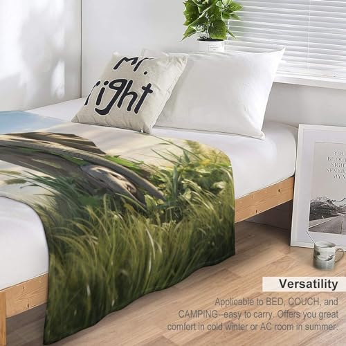 Manta de franela para sofá de elefantes suave térmica cama 7