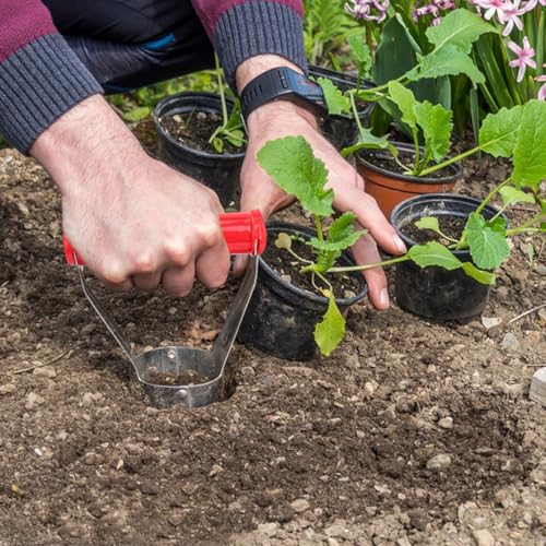 Pack 10 herramientas para plantar bulbos miniatura 4