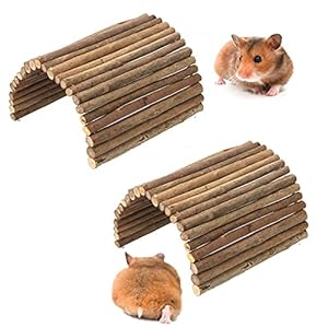 kathson 2 PCS Hamster Wooden Bridge Guinea Pig Ladder Rat Chew Toys Wood Ladder Natural Hideout for Small Animal Chinchillas Gerbils Ferret Syrian Hamster Squirrel